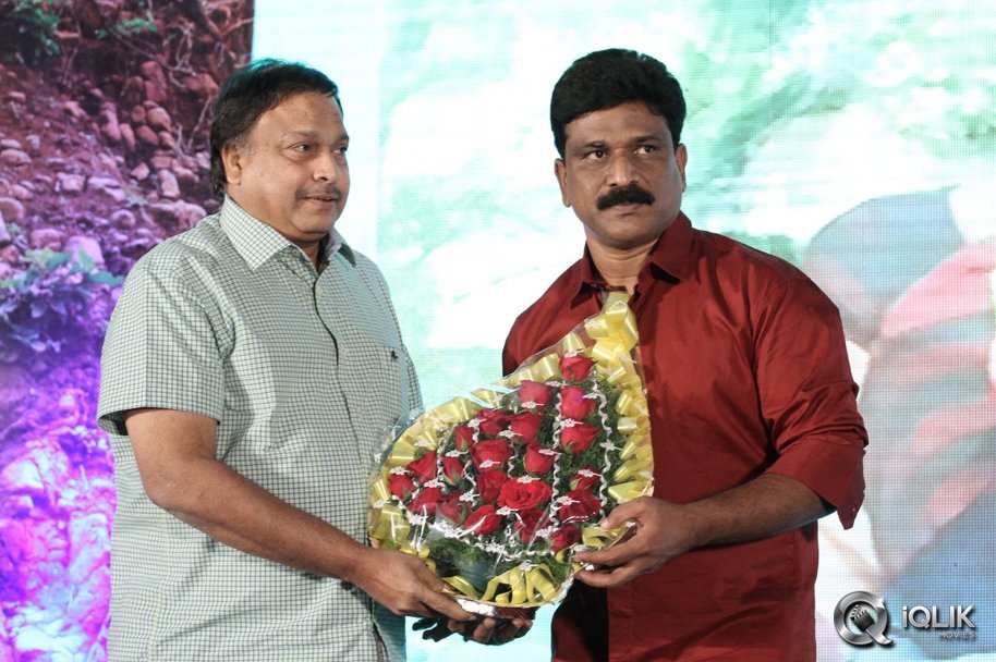 Mellaga-Tattindi-Manasu-Talupu-Movie-Audio-Launch